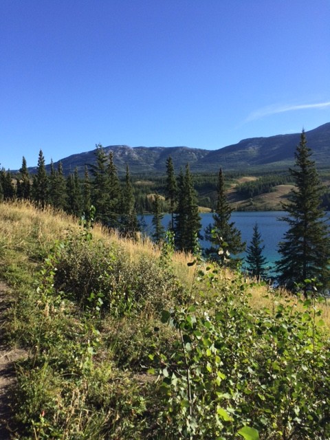 Just another pretty view along the trail